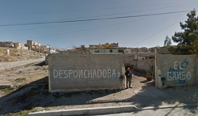 Desponchadora El Ganso