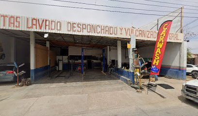 Las Palmitas Lavado Desponchado